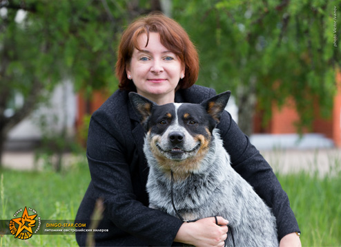 Владелец питомника Dingostar Элита Моллой