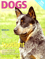   .  . Australian Cattle Dog - Australian Champion KOMBINALONG SUPER TRAMP