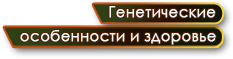 Генетические особенности и здоровье собак породы Австралийская пастушья собака / Австралийский хилер. Australian Cattle Dog