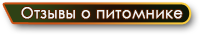 Отзывы о питомнике ДИНГОСТАР / Австралийская пастушья собака / Австралийский хилер. Australian Cattle Dog